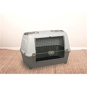 Dmora - Trasportino per Cani o Gatti Gistel, Trasportino Rigido, Gabbietta Portatile con Tappetino, 100% Made in Italy, Beige e Marrone, 76x45h54 cm