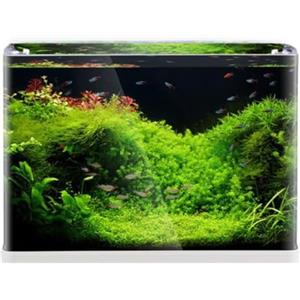 Generico Aquariumline acquario aperto in vetro extrachiaro panoramico 55L cm60x30x33,5h