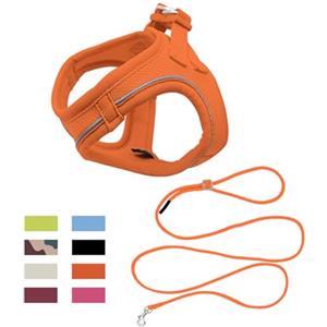 Qianruida Imbracatura Gatto E Guinzaglio, Imbracatura Gattino Cucciolo Anti Fuga Regolabile Riflettente Gilet in Maglia Traspirante Morbida per Cani E Gatti Piccoli (Arancione XS)