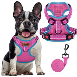 FAYOGOO Pettorina Cane, Pettorina Cane Taglia Media Regolabile, Traspirante Pettorina Cane Taglia Grande con Guinzaglio, Pettorina Antifuga Cane per la Corsa, Passeggiate, Jogging (Rosa, XL)