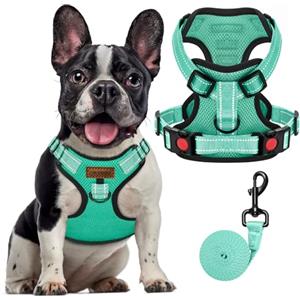 FAYOGOO Pettorina Cane, Pettorina Cane Taglia Media Regolabile, Traspirante Pettorina Cane Taglia Grande con Guinzaglio, Pettorina Antifuga Cane per la Corsa, Passeggiate, Jogging (Verde, XS)