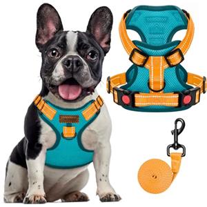 FAYOGOO Pettorina Cane, Pettorina Cane Taglia Media Regolabile, Traspirante Pettorina Cane Taglia Grande con Guinzaglio, Pettorina Antifuga Cane per la Corsa, Passeggiate, Jogging (Blu, L)
