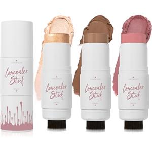 Ceboic Set di 3 evidenziatori contouring, blush stick bronzer, bacchetta doppia estremità con pennello, correttore impermeabile a lunga durata, kit trucco viso liscio e leggero