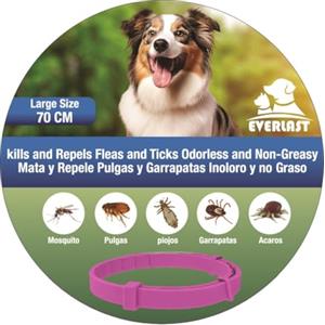 Tempotech Collare Antiparassitario per Cane e Gatti - 8 Mesi di Protezione - contro Pulci, Zecche, Zanzare, Acari e Pidocchi - 72 cm 100% naturali - 1 Unità Rosa