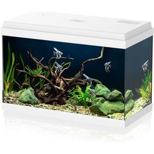 AQPET Acquario in Vetro per Pesci Tropicali Completo di Accessori Filtro Luce Simply, 60 59x30x39 cm 60 Litri, Bianco