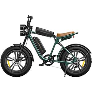 Fafrees Bicicletta Elettrica,Batteria Rimovibile 48V 26AH/13AH, Autonomia 75/150 km, Pneumatici Larghi 20x4,0,Doppia Sospensione,Ideale Per Adulti e Multi-Terreno.ENGWE M20 (Batteria singola, Bianco)