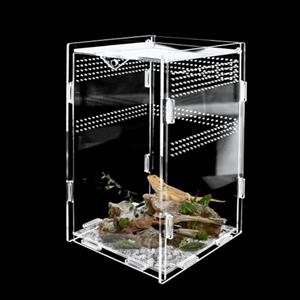 Godneei Terrario Rettili 12 x 12 x 20 cm, Scatola di Alimentazione per Insetti e Rettile, Terrario in Acrilico Trasparente