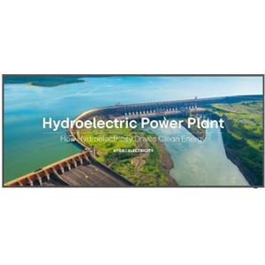 LG Monitor Professionale 105BM5P-B 105