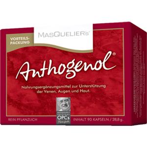 MASQUELIER'S ANTHOGENOL 90CPS - MASQUELIER'S ANTHOGENOL - 938559578