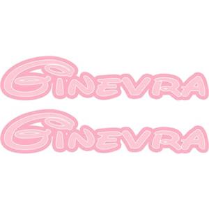 ^RTERBY'S GamesMonkey® - Adesivo Nomi Cameretta - 2 pezzi - Varie Dimensioni - bambino bambina giochi porta armadio (Ginevra, 25x5 cm)