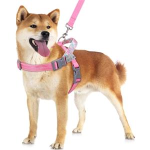 VavoPaw Set pettorina e guinzaglio per cani, pettorina senza tiranti per passeggiate facili, pettorina regolabile nastro magico riflettente, pettorina a prova di fuga per cani grandi, cuccioli, S Rosa