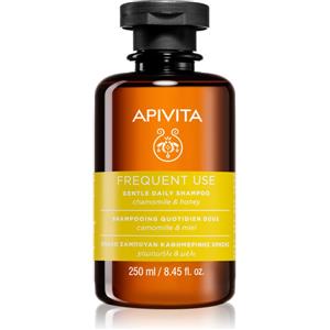 APIVITA Shampoo Delicato Uso Frequente con Camomilla e Miele 250ml - Deterge Delicatamente e Rispetta il Cuoio Capelluto