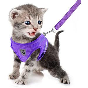 FEimaX Imbracatura e Guinzagli Set per Cani, Pettorina Imbottita a Morbida per Cuccioli e Gatti, Imbracature di Traspiranti Regolabili Riflettenti per Camminare, Corsa, Allenamento