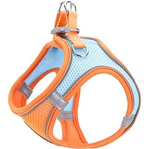 AITODOS TA AiTodos® Pettorina Cane, Pettorina Gatto, S-Taglia, Arancia, Pettorina per Cani di Piccola Taglia, per Passeggiate con Cani all'Aperto, Addestramento - Pettorina cane Taglia Piccola