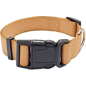 AITODOS TA AiTodos® Collare Cani - Marrone, Nylon, Regolabile, Traspirante, Resistente ai Morsi, Collare per Cani Circonferenza del collo Consigliata: 35-54 cm, Larghezza: 2,5 cm