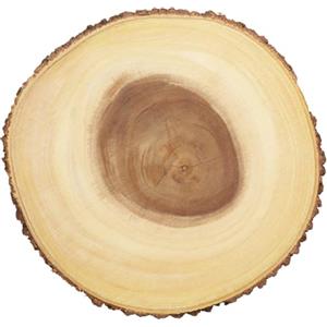 Artesa Artesà Tagliere di Formaggio a Tronco di Legno, Piatto da portata per Torte, Dessert, Pranzi e Buffet, 30cm (11.8