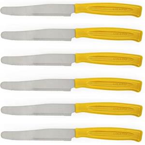 Excelsa Rainbow Set 6 Coltelli Da Tavola Seghettati, Acciaio Inox, Giallo