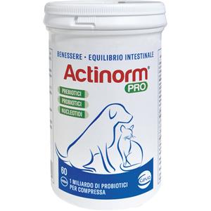 Ceva salute animale spa ACTINORM PRO 60CPR