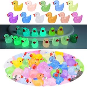 GOTFUN 100 mini anatre in resina luminose, simpatiche piccole anatre colorate in miniatura, per giardino, paesaggio, casa delle bambole, fai da te, decorazioni per la casa, 10 colori