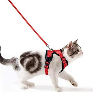 Wdmiya Pettorina per Gatti, Pettorina per Cani Taglia Piccola, Imbracatura per Gatti, Pettorina Gatto Antifuga, Collare Luminoso per Cani, Gatti Accessori (S, Rosso)