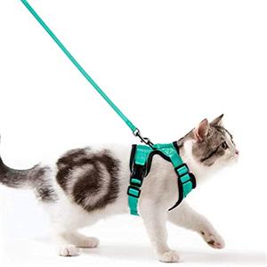 Wdmiya Pettorina per Gatti, Pettorina per Cani Taglia Piccola, Imbracatura per Gatti, Pettorina Gatto Antifuga, Collare Luminoso per Cani, Gatti Accessori (XXS, Verde)