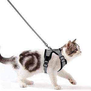 Wdmiya Pettorina per Gatti, Pettorina per Cani Taglia Piccola, Imbracatura per Gatti, Pettorina Gatto Antifuga, Collare Luminoso per Cani, Gatti Accessori (S, Grigio)