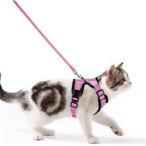 Wdmiya Pettorina per Gatti, Pettorina per Cani Taglia Piccola, Imbracatura per Gatti, Pettorina Gatto Antifuga, Collare Luminoso per Cani, Gatti Accessori (S, Rosa)