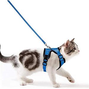 Wdmiya Pettorina per Gatti, Pettorina per Cani Taglia Piccola, Imbracatura per Gatti, Pettorina Gatto Antifuga, Collare Luminoso per Cani, Gatti Accessori (XXS, Blu)