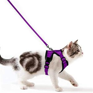Wdmiya Pettorina per Gatti, Pettorina per Cani Taglia Piccola, Imbracatura per Gatti, Pettorina Gatto Antifuga, Collare Luminoso per Cani, Gatti Accessori (S, Viola)