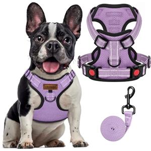 FAYOGOO Pettorina Cane, Pettorina Cane Taglia Media Regolabile, Traspirante Pettorina Cane Taglia Grande con Guinzaglio, Pettorina Antifuga Cane per la Corsa, Passeggiate, Jogging (Viola, XL)