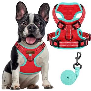 FAYOGOO Pettorina Cane, Pettorina Cane Taglia Media Regolabile, Traspirante Pettorina Cane Taglia Grande con Guinzaglio, Pettorina Antifuga Cane per la Corsa, Passeggiate, Jogging (Rosso, XS)