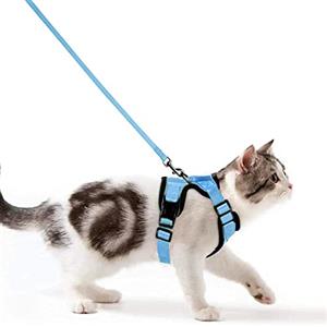 Wdmiya Pettorina per Gatti, Pettorina per Cani Taglia Piccola, Imbracatura per Gatti, Pettorina Gatto Antifuga, Collare Luminoso per Cani, Gatti Accessori (S, blu chiaro)