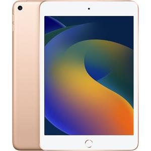 Apple iPad Mini 7.9 pollici (2019) 5a Generazione, Oro - 64GB - Wi-Fi - Ottimo