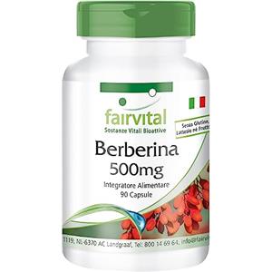 Fairvital | Berberina 500mg Alto Dosaggio - 90 Capsule Vegane di Pura Berberina HCL 97% da Berberis Vulgaris - Integratore Berberina