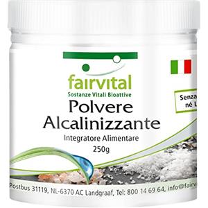 Fairvital | Polvere basica con calcio e magnesio - con calcio, magnesio, potassio, zinco, ferro, rame, molibdeno, cromo e selenio - Vegan - 250g