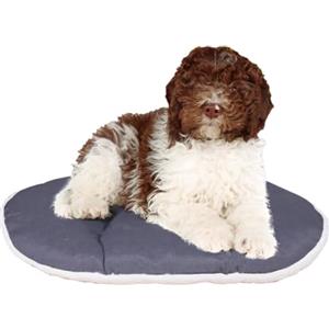 Ferplast - Cuccia per cani e gatti - Cuscino per cani di medie dimensioni - Materassino per cani - Tappetino per cucce e auto - Morbido letto per cani - Relax, 78 x 50 CM, BEIGE