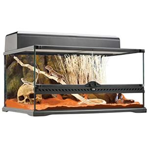 Exo Terra Terrario in vetro, con ventilazione frontale unica, 60 x 45 x 30 cm