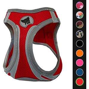 Croci C5081160 - Pettorina Riflettente Per Cani, Multicolore (Rosso), XS, 1 Pezzo