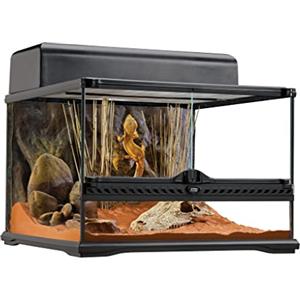 Exo Terra PT2603 Terrario in Vetro 45X45X30 Cm Inclusa Parete Posteriore