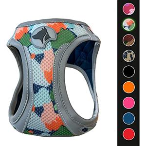 Croci C5081020 - Pettorina Riflettente Per Cani, Multicolore (Harlequin), XS, 1 Pezzo