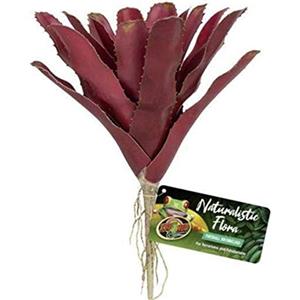 Zoo Med Naturalistic Flora Fireball bromeliad - Pianta Decorativa Neoregelia Palla di Fuoco per terrari e paludari, realistica, rifugio per rettili e Anfibi, Impermeabile