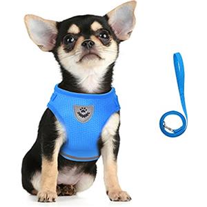 FEimaX Imbracatura e Guinzagli Set per Cani, Pettorina Imbottita a Morbida per Cuccioli e Gatti, Imbracature di Traspiranti Regolabili Riflettenti per Camminare, Corsa, Allenamento