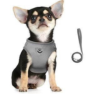 FEimaX Imbracatura e Guinzagli Set per Cani, Pettorina Imbottita a Morbida per Cuccioli e Gatti, Imbracature di Traspiranti Regolabili Riflettenti per Camminare, Corsa, Allenamento