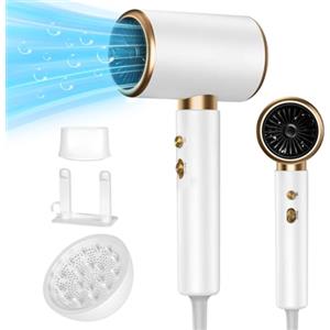 LURICO 2400W Asciugacapelli Ionico, Asciugacapelli Professionali, Phon Capelli con diffusore, e concentratore 2 Velocità/3 Temperatura, Protezione dal Surriscaldamento, per Viaggi e Casa, Regalo