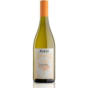 Masi 