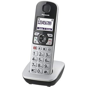 Panasonic Telefono fisso Panasonic VoIP Argento/Nero [KX-TGQ500GS]