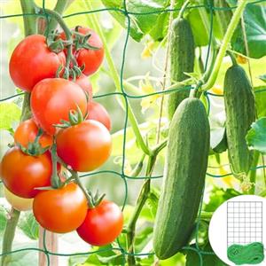 UQMIQURA Rete per traliccio da giardino, pomodori, cetrioli, 1,8 x 2,7 m, per cetrioli, cetrioli, pomodori, rete di supporto per piante da giardino con maglie grandi, per giardino, balcone e serra