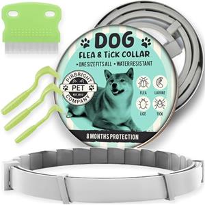 CARBERRY Pettine antipulci monodose, pettine in acciaio inossidabile per gatti e cani, rimedio antiparassitario contro pulci e pidocchi, collare regolabile con olio essenziale per cani.