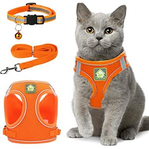 Zhenle Pettorina Collarino Guinzaglio per Gatto o per Cani Taglia Piccola, Antifuga Riflettente Pettorina Regolabile Traspirante (XS)