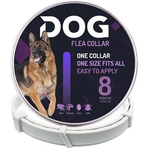 Generico Collare Antiparassitario Per Cani: Protezione Totale Contro Pulci e Zecche! 100% Naturale Composto Da Oli Essenziali - 65 cm Regolabile Impermeabile Per Tutte Le Taglie - 8 Mesi Di Protezione